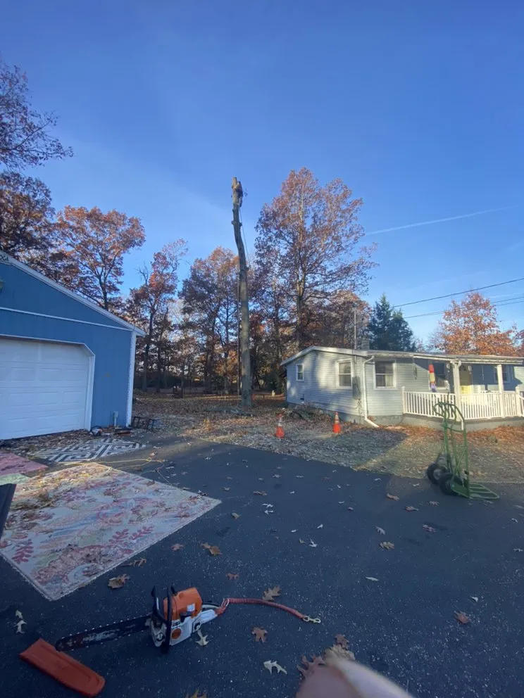 Top-rated garden landscaping experts serving Bridgeton, NJ - A&F Landscaping Services