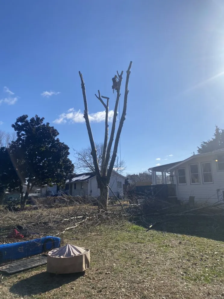 Custom lawn care service in Bridgeton, NJ - A&F Landscaping Services