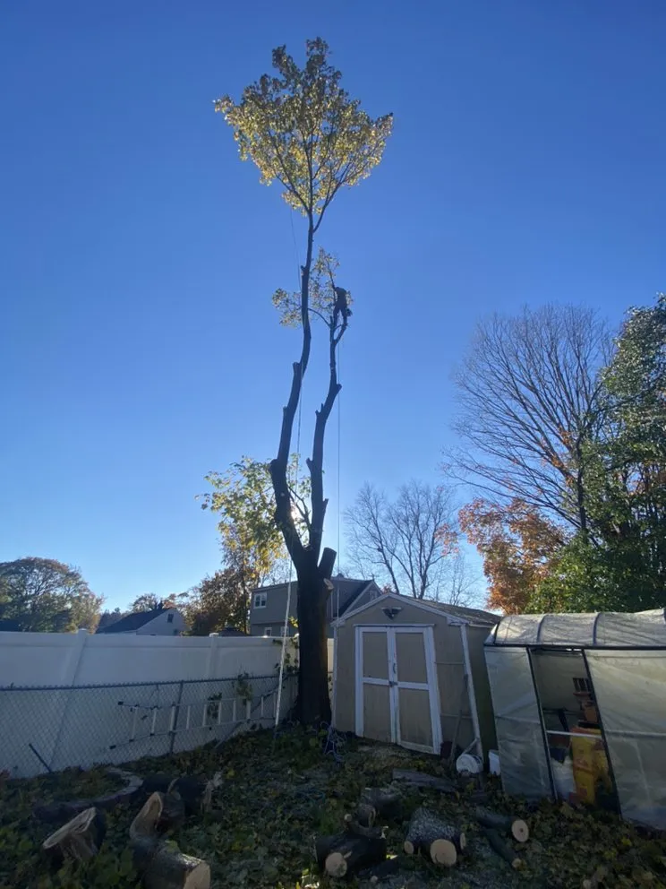 Expert landscape installation in Bridgeton, NJ by A&F Landscaping Services