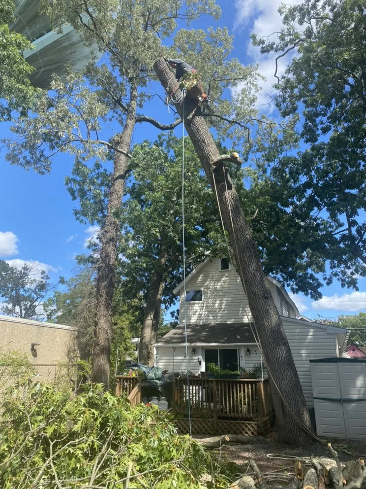 Top-rated lawn mowing service experts serving Bridgeton, NJ - A&F Landscaping Services