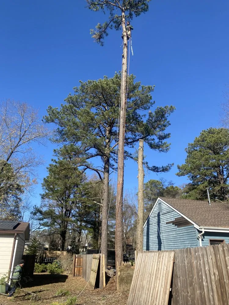 Top-rated yard cleanup service experts serving Bridgeton, NJ - A&F Landscaping Services