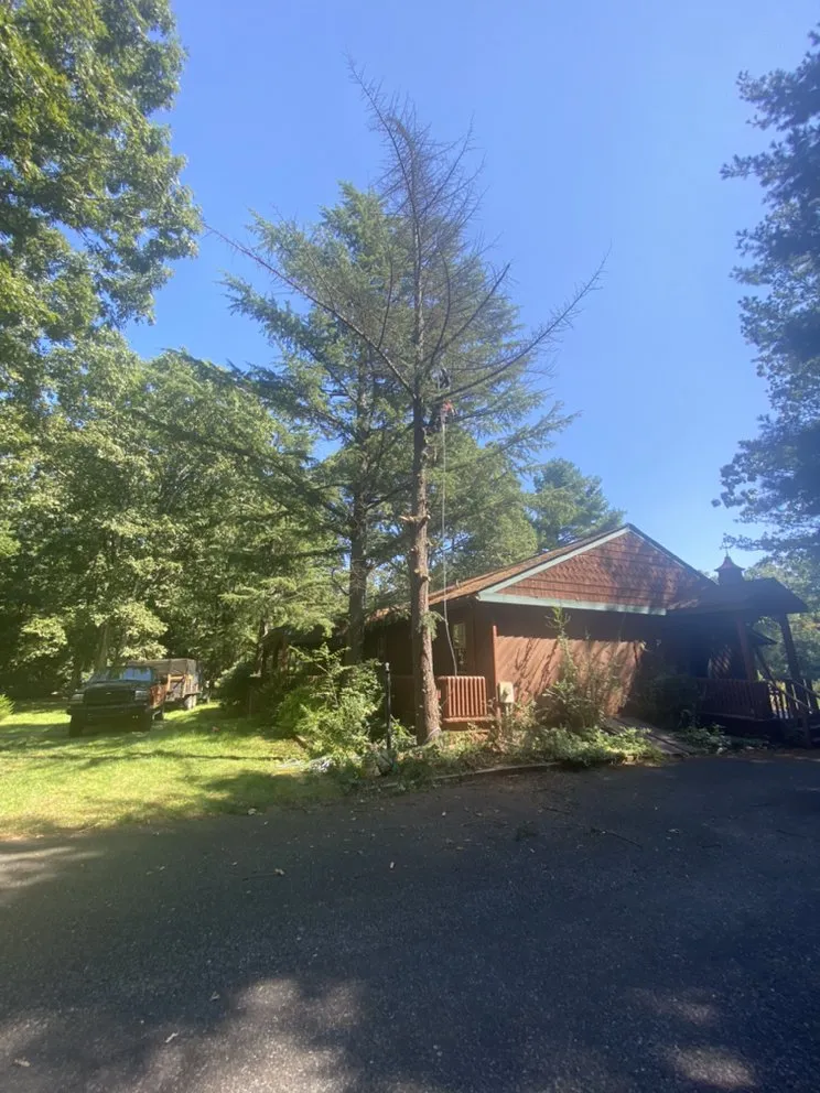 Local landscape installation in Bridgeton, NJ - A&F Landscaping Services