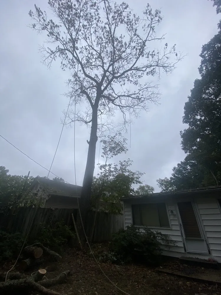 Expert outdoor landscaping in Bridgeton, NJ by A&F Landscaping Services