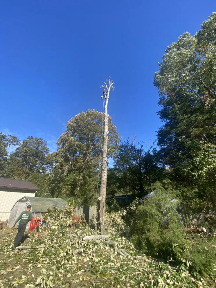 Professional garden landscaping in Bridgeton, NJ by A&F Landscaping Services