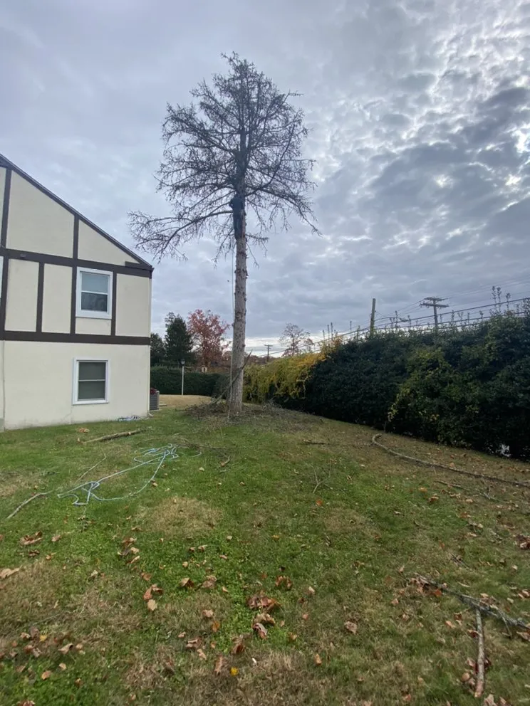 Reliable residential landscaping for beautiful yards in Bridgeton, NJ by A&F Landscaping Services