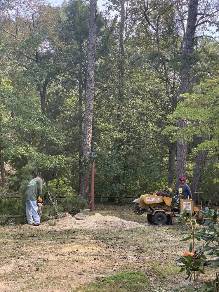 Trusted lawn care service in Bridgeton, NJ by A&F Landscaping Services