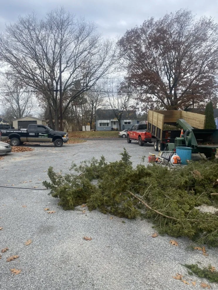 Affordable outdoor landscaping for residential properties in Bridgeton, NJ by A&F Landscaping Services