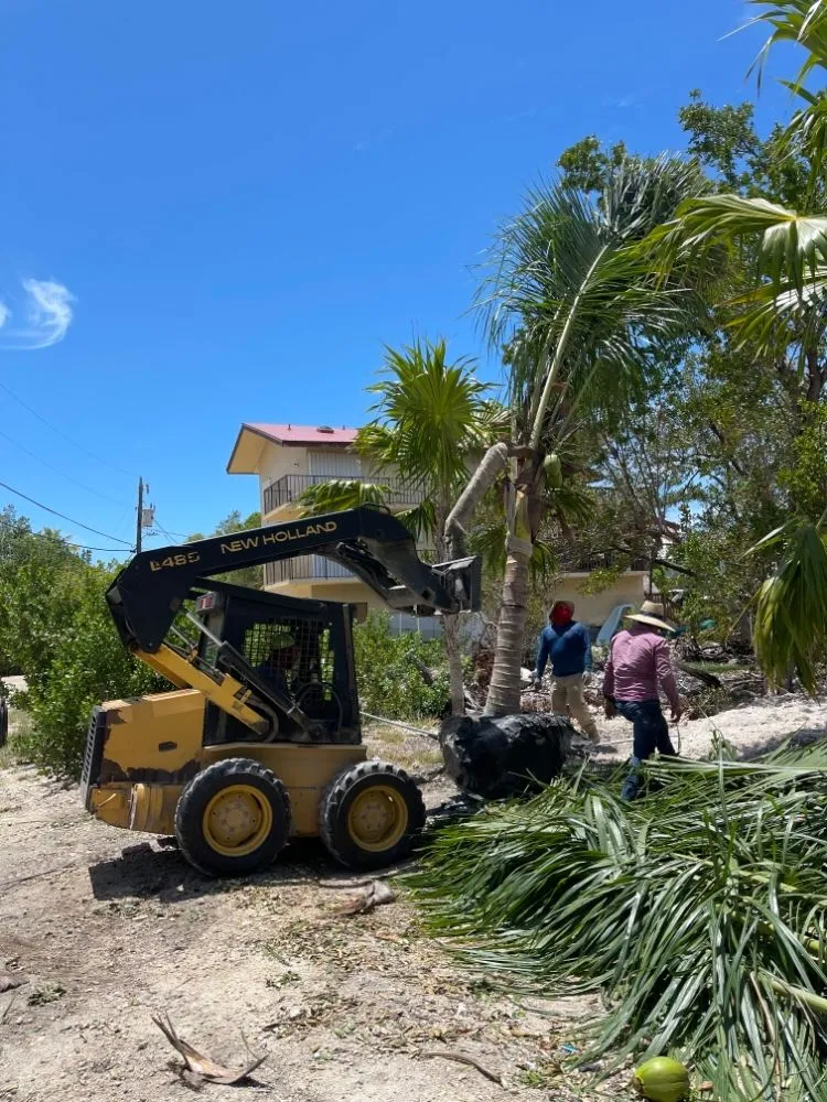 Trusted yard maintenance in Homestead, FL by A&F Lawn Care