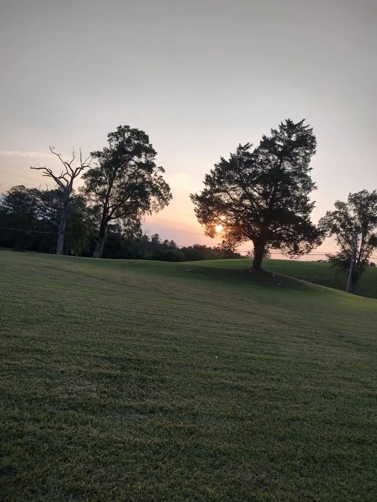 Trusted residential landscaping in Anniston, AL - AF Lawn Service