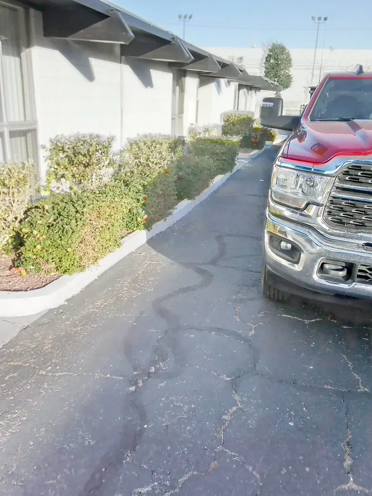 Reliable yard cleanup service in Enterprise, NV by AF Tree Service