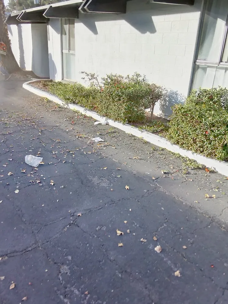 Expert yard cleanup service in Enterprise, NV - AF Tree Service