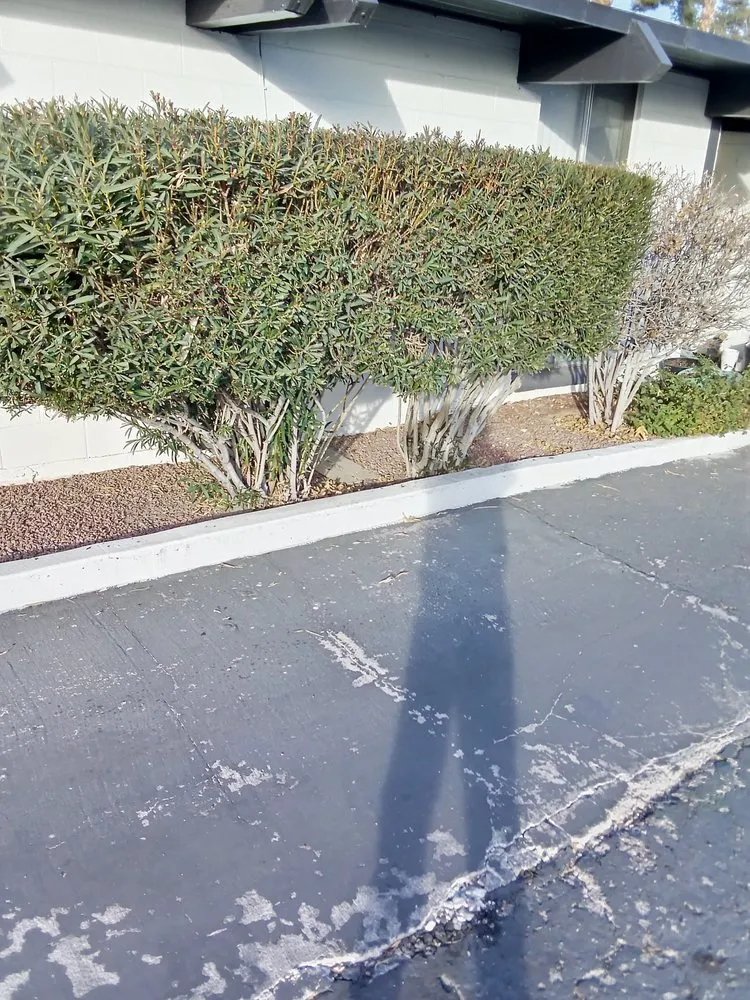 Affordable landscape installation near you in Enterprise, NV by AF Tree Service