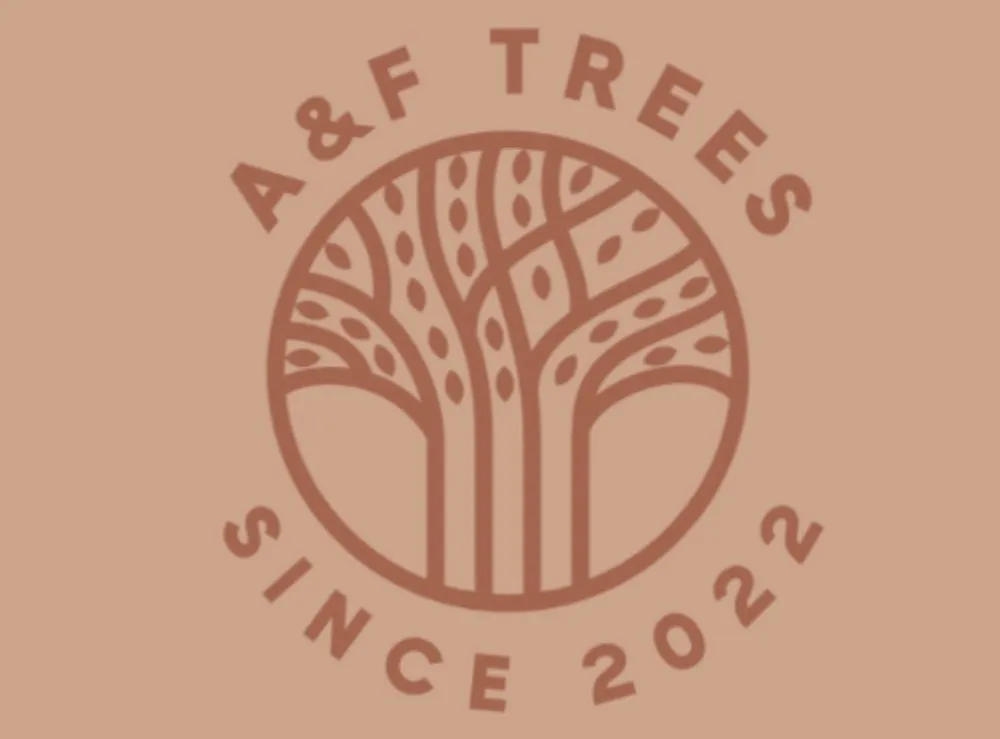 Local lawn mowing service for homes across Enterprise, NV - AF Tree Service