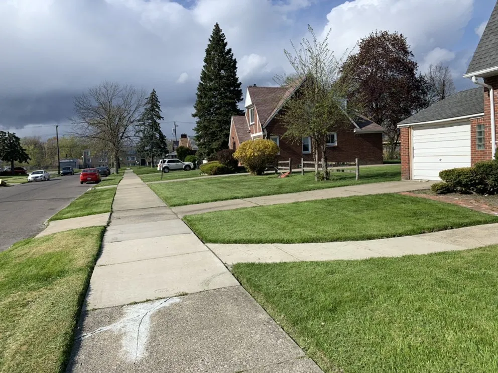 Reliable yard maintenance experts serving Detroit, MI - Afaroe Lawn Service