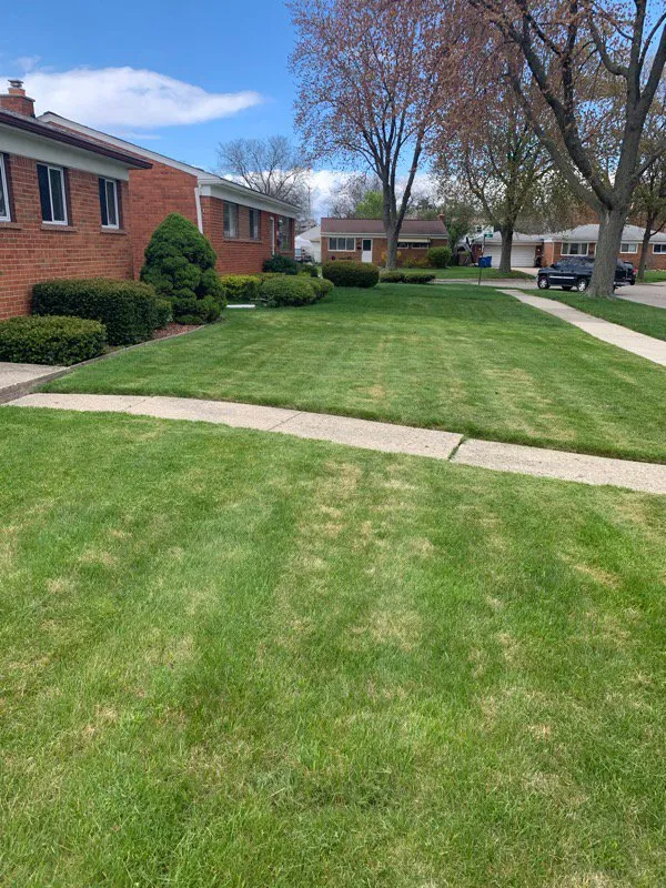Trusted landscape installation experts serving Detroit, MI - Afaroe Lawn Service