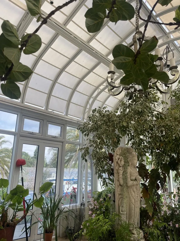 Affordable residential landscaping in San Rafael, CA by Aff Building Services