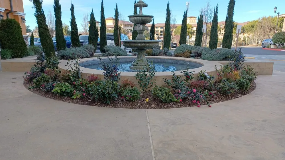 Trusted yard cleanup service in San Rafael, CA - Aff Building Services