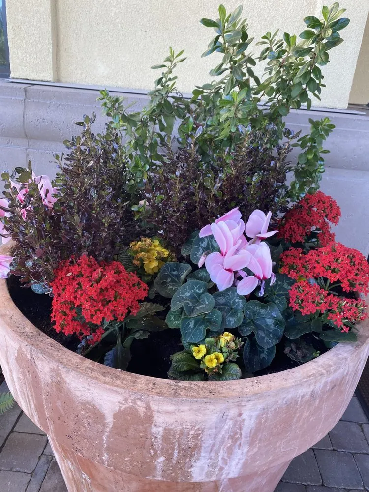 Expert landscaping services for outdoor upgrades in San Rafael, CA by Aff Building Services