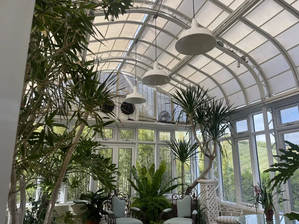 Expert lawn mowing service for year-round maintenance across San Rafael, CA - Aff Building Services