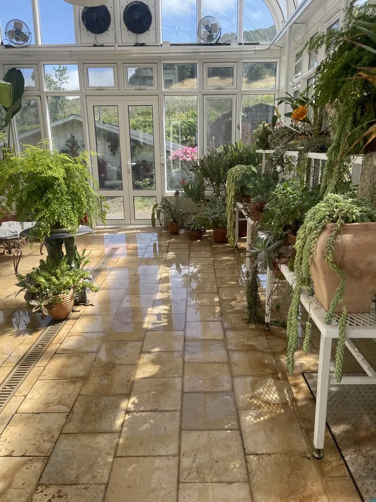 Local yard cleanup service in San Rafael, CA - Aff Building Services