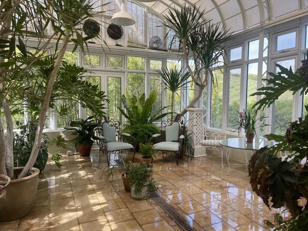 Local yard cleanup service experts serving San Rafael, CA - Aff Building Services