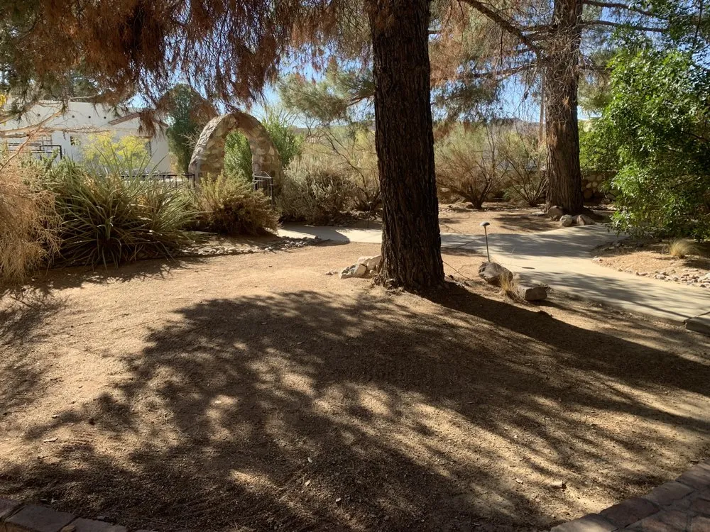 Trusted yard cleanup service in El Paso, TX - AFF Lawn Maintenance