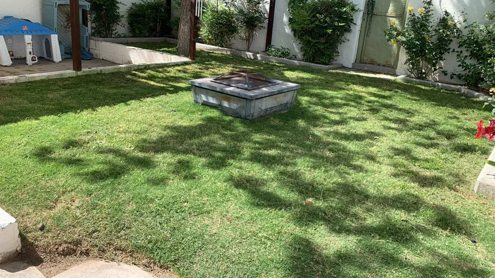 Local landscaping services in El Paso, TX - AFF Lawn Maintenance