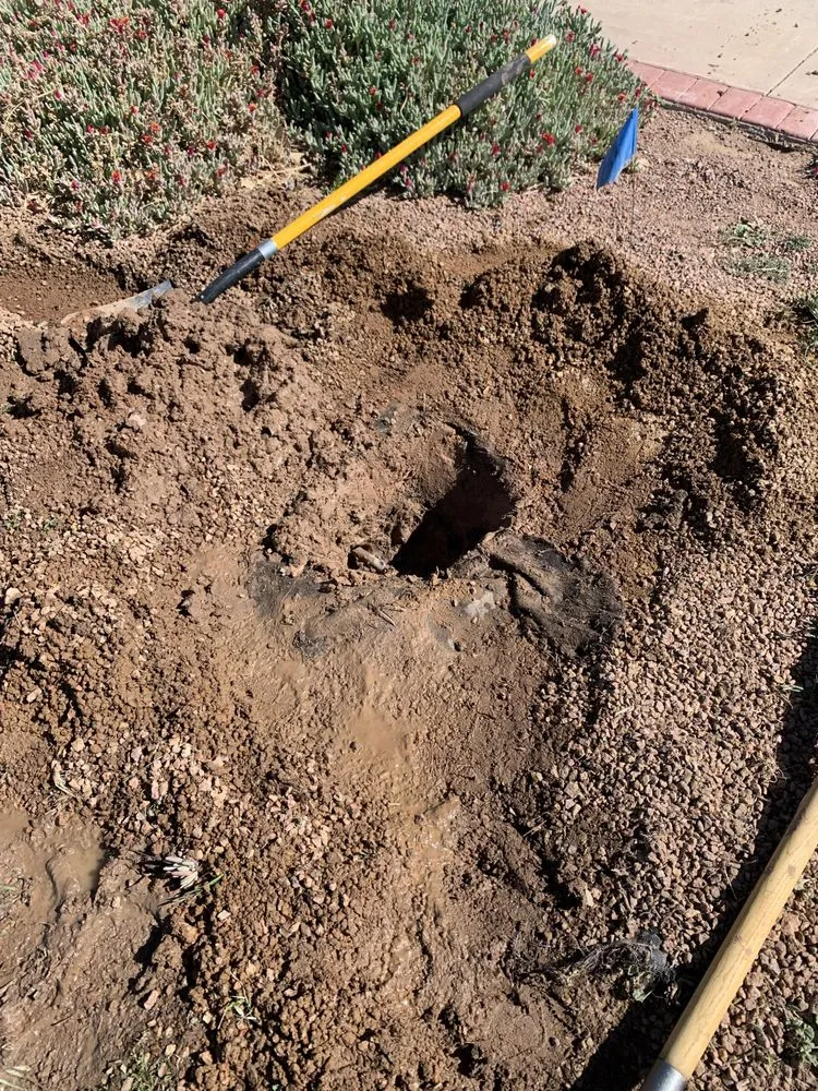 Expert yard cleanup service for beautiful yards across El Paso, TX - AFF Lawn Maintenance