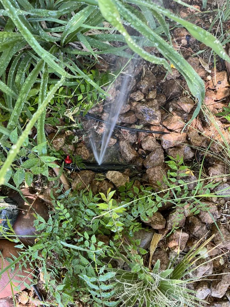 Reliable outdoor landscaping experts serving El Paso, TX - AFF Lawn Maintenance