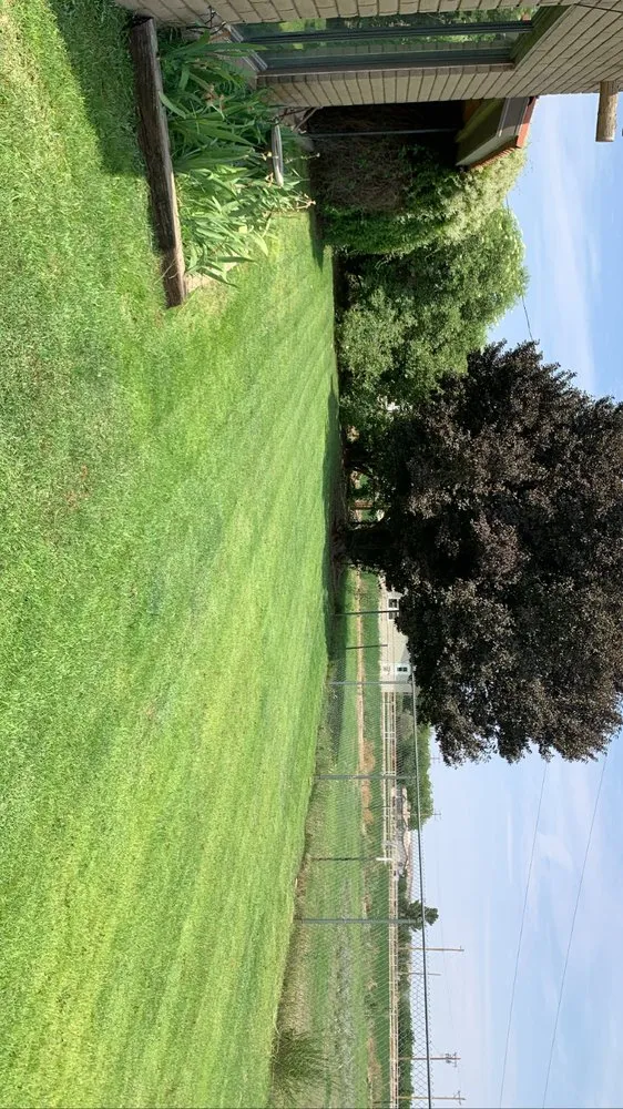 Reliable outdoor landscaping for beautiful yards in El Paso, TX by AFF Lawn Maintenance