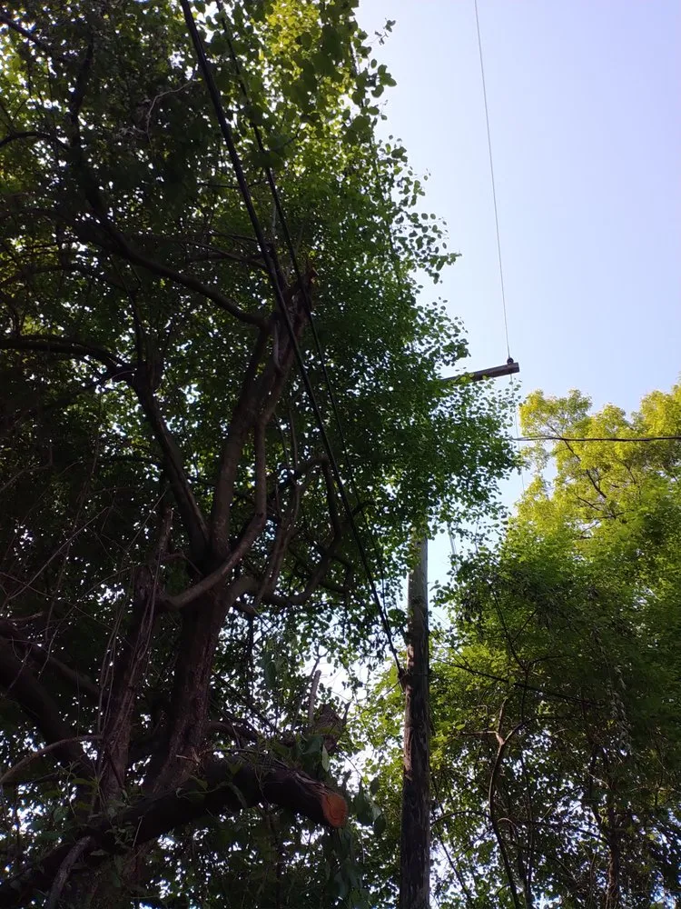 Trusted residential landscaping experts serving Pontiac, MI - Affectionate Tree And Landscape Service