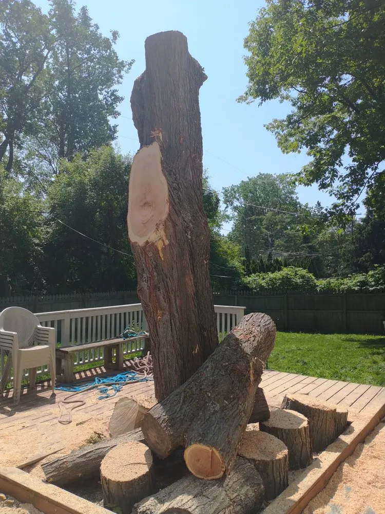 Local garden landscaping in Pontiac, MI - Affectionate Tree And Landscape Service