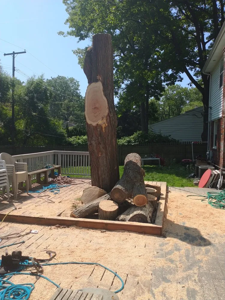 Reliable lawn care service in Pontiac, MI - Affectionate Tree And Landscape Service