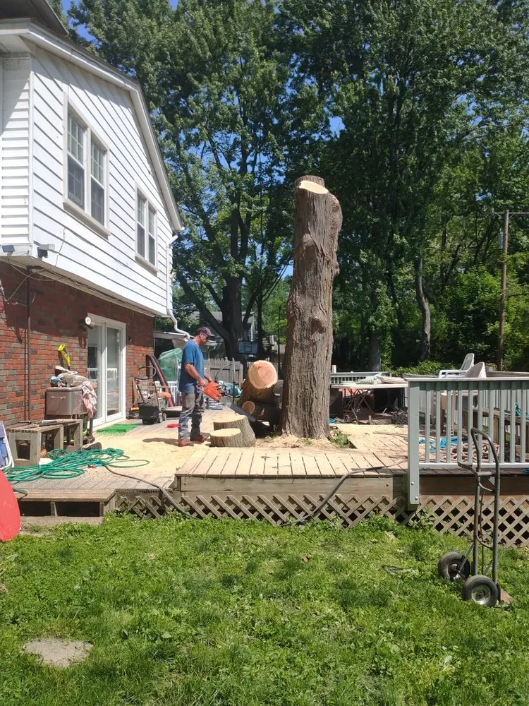 Professional residential landscaping in Pontiac, MI by Affectionate Tree And Landscape Service