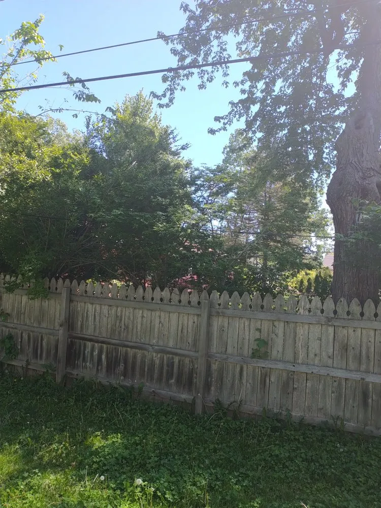 Trusted lawn mowing service in Pontiac, MI by Affectionate Tree And Landscape Service