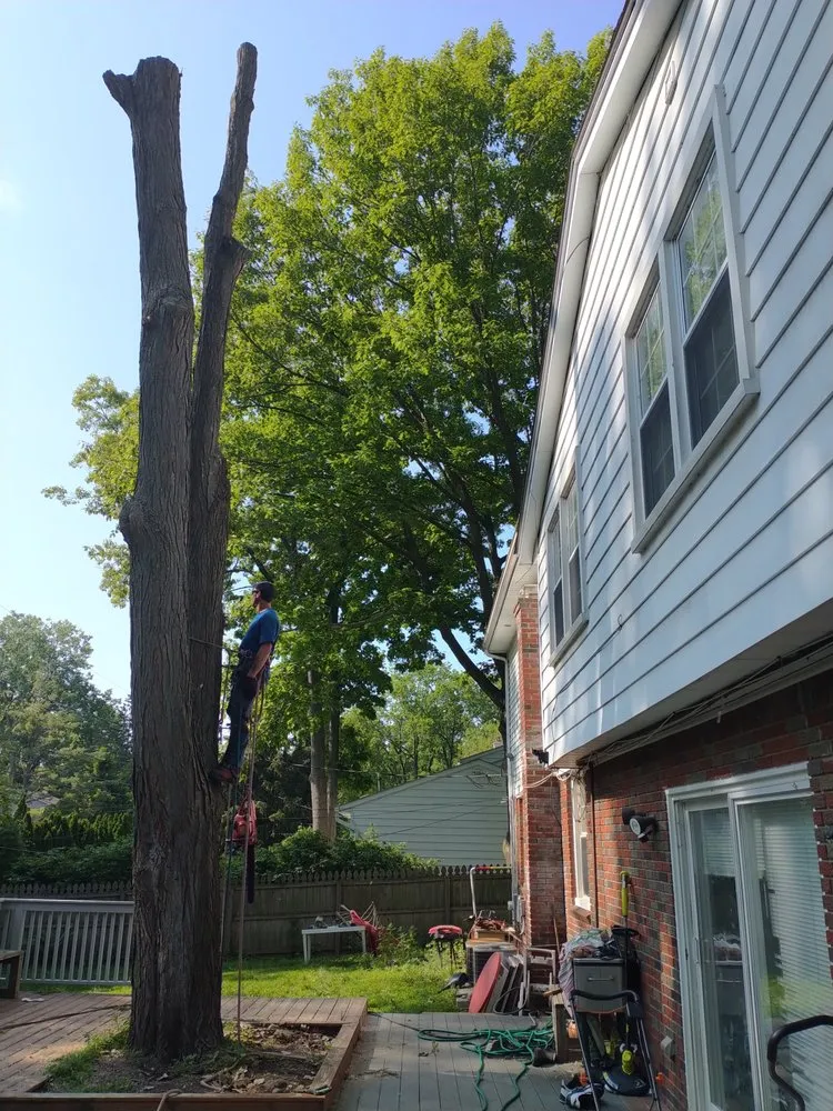 Trusted landscape installation for homes across Pontiac, MI - Affectionate Tree And Landscape Service