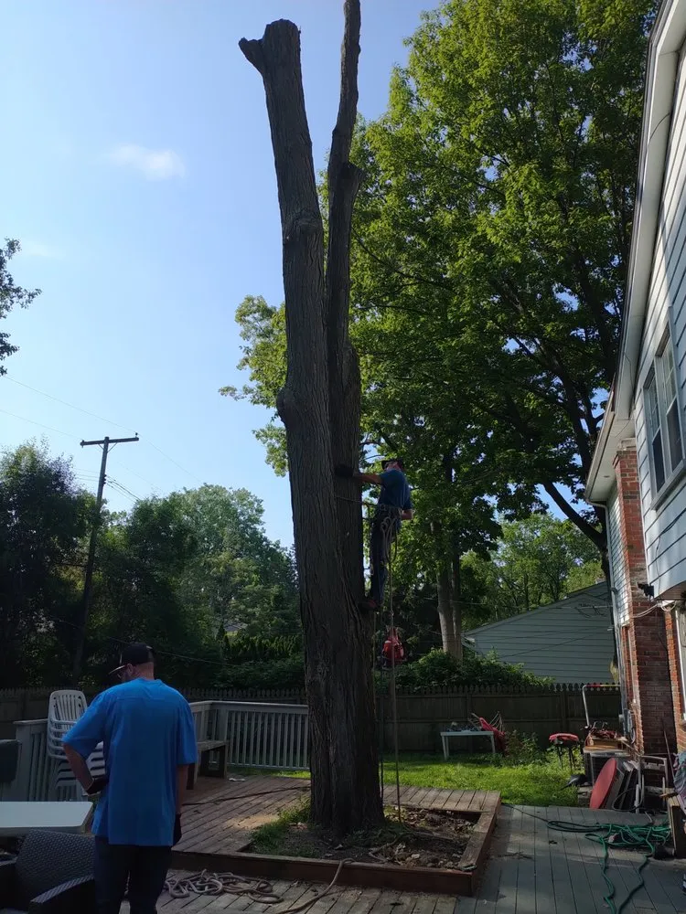 Affordable landscape design for outdoor upgrades in Pontiac, MI by Affectionate Tree And Landscape Service