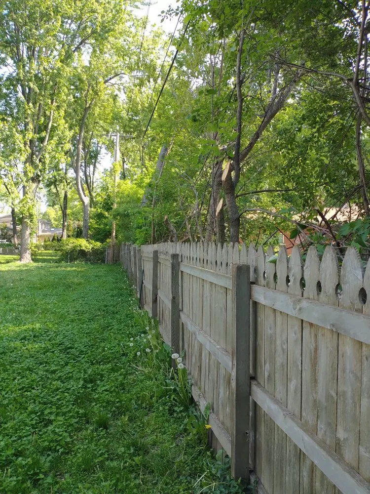 Local lawn mowing service in Pontiac, MI by Affectionate Tree And Landscape Service