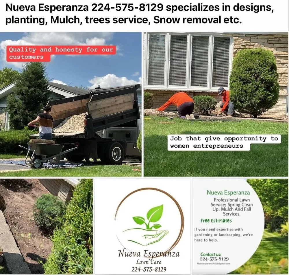 Custom yard maintenance with custom design in Round Lake, IL by Affiliateleads.pro