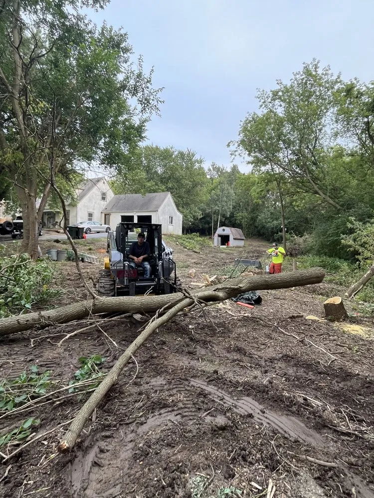 Professional garden landscaping in Round Lake, IL by Affiliateleads.pro