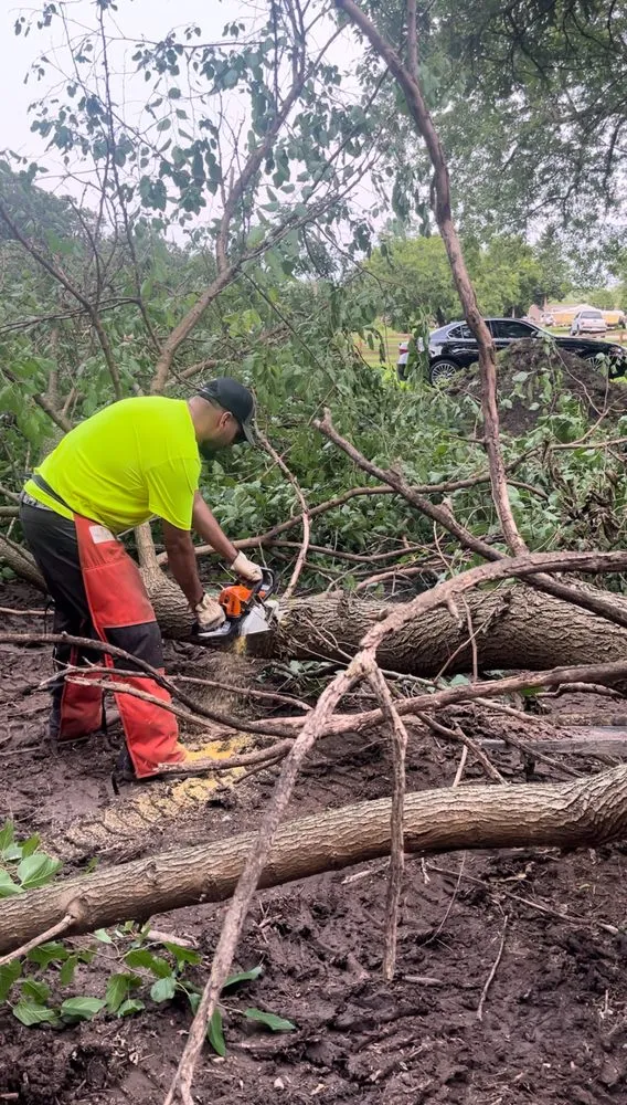 Custom outdoor landscaping in Round Lake, IL by Affiliateleads.pro