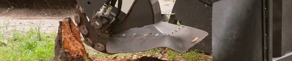 Reliable landscaping services in Eaton, CO by Affinity Landscape Services