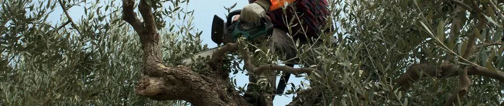 Trusted landscape installation near you in Eaton, CO by Affinity Landscape Services