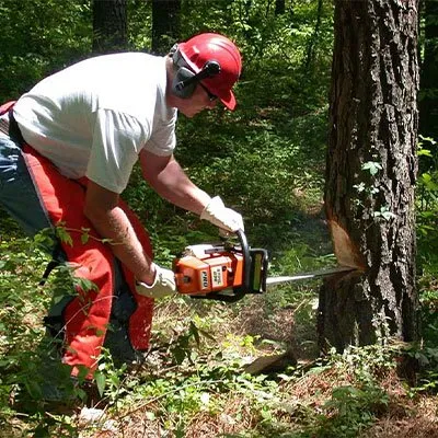Local landscape design in Eaton, CO by Affinity Landscape Services