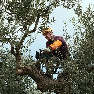 Trusted yard maintenance in Eaton, CO by Affinity Landscape Services