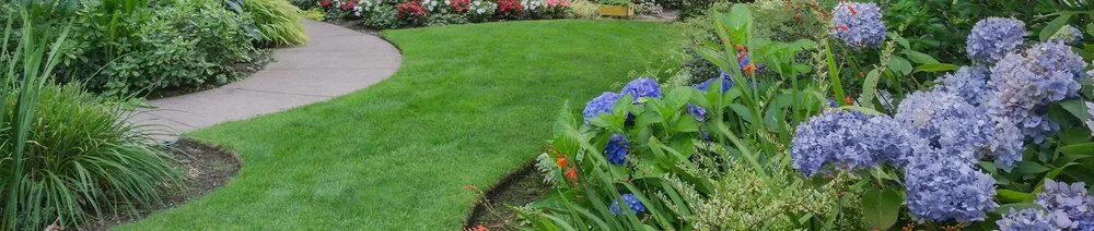 Local garden landscaping experts serving Eaton, CO - Affinity Landscape Services