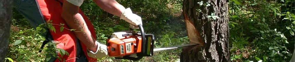 Trusted lawn mowing service experts serving Eaton, CO - Affinity Landscape Services