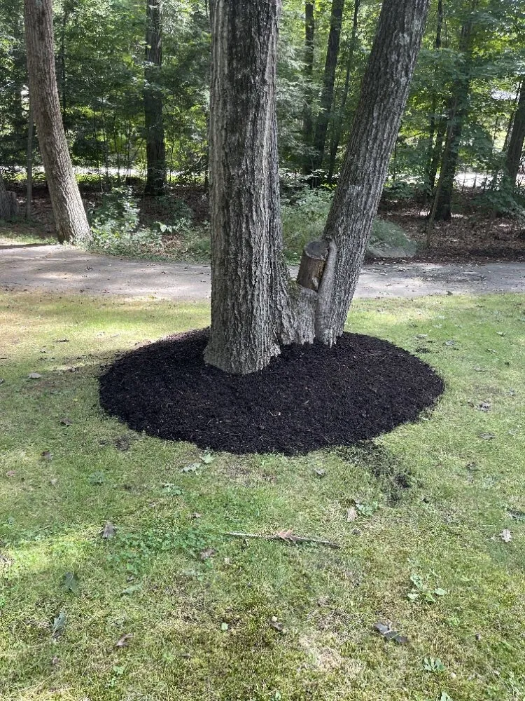 Top-rated outdoor landscaping in West Brookfield, MA - Affinity Landscape Solutions