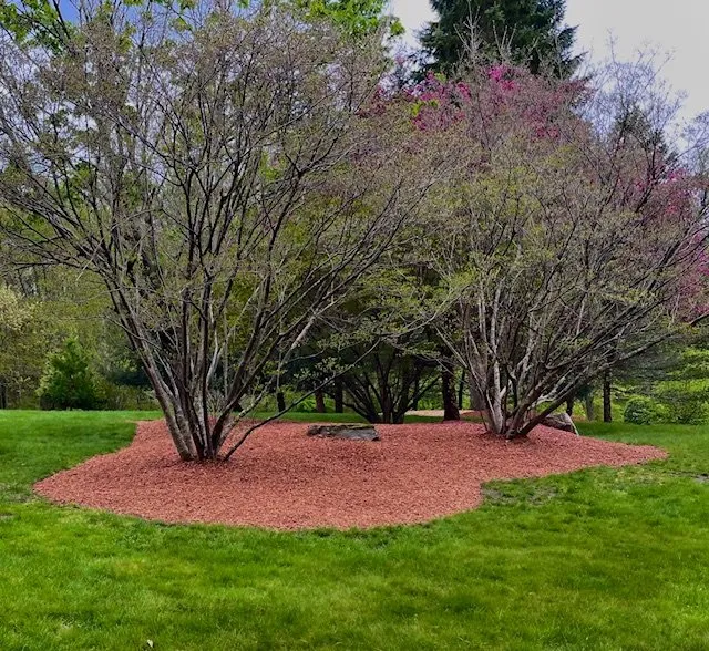 Custom lawn care service in West Brookfield, MA by Affinity Landscape Solutions