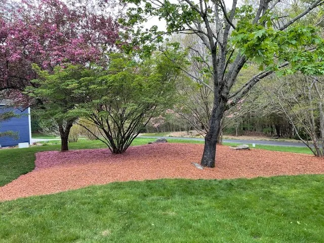 Top-rated yard cleanup service for beautiful yards in West Brookfield, MA by Affinity Landscape Solutions